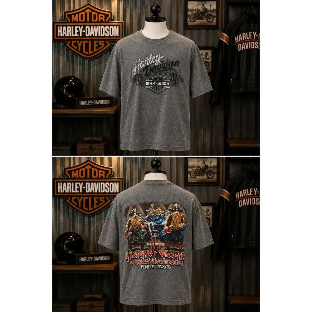 Harley Davidson Horny Toad Temple TX Gray Graphic T Shirt Size L